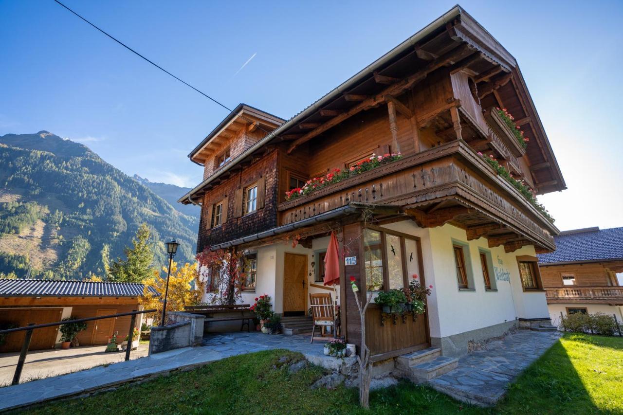 Gaestehaus Waldruh Brandberg Dış mekan fotoğraf